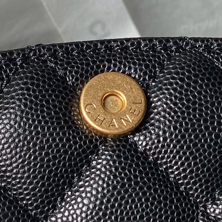 Chanel WOC Bags